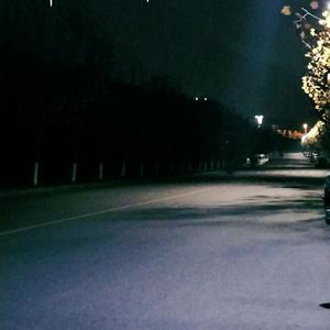 欧洲免费黄色录像
