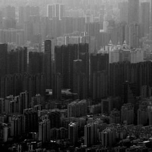 欧洲免费黄色录像
